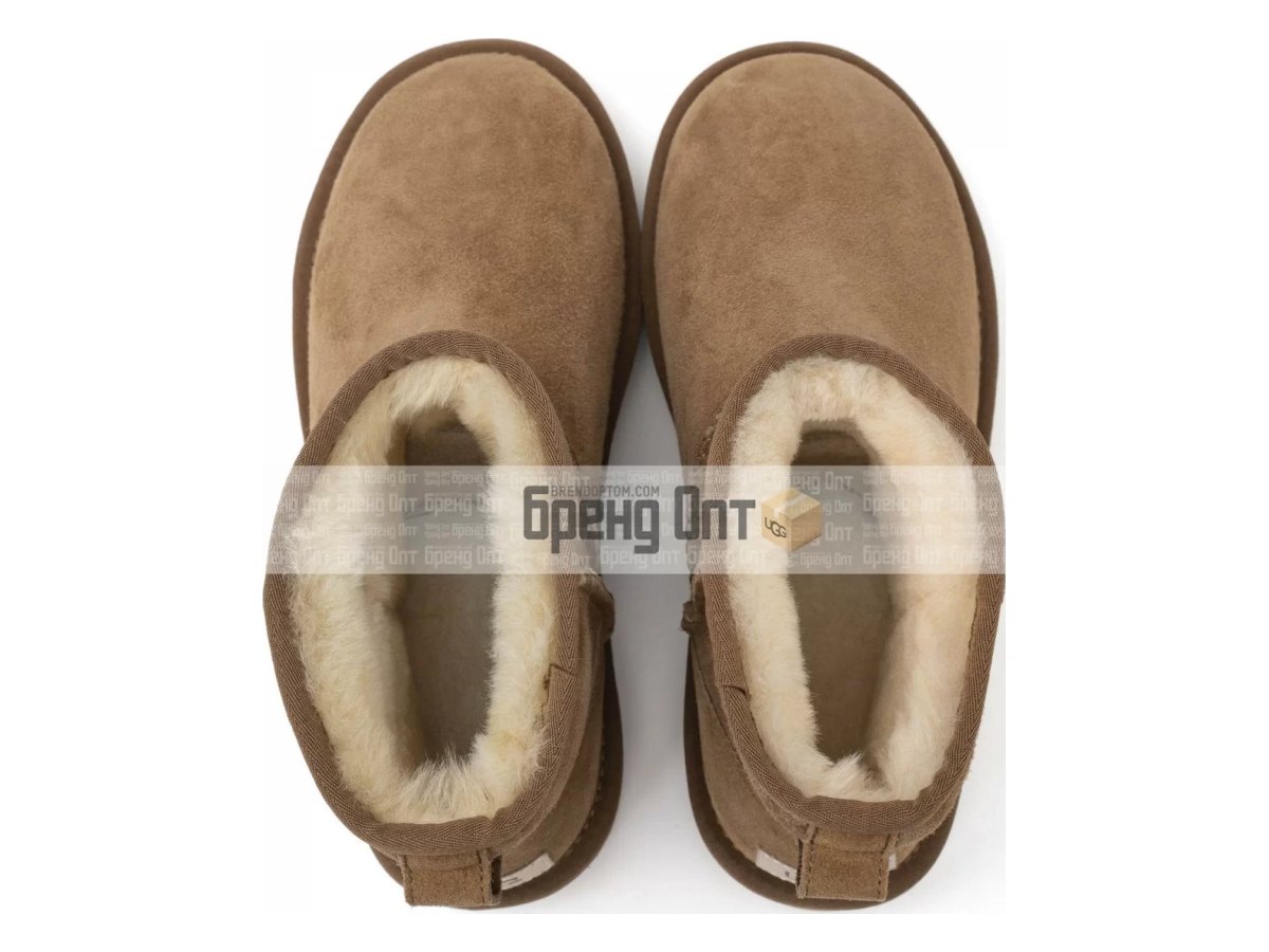 UGG Classic Mini II Chestnut — вид «сверху»
