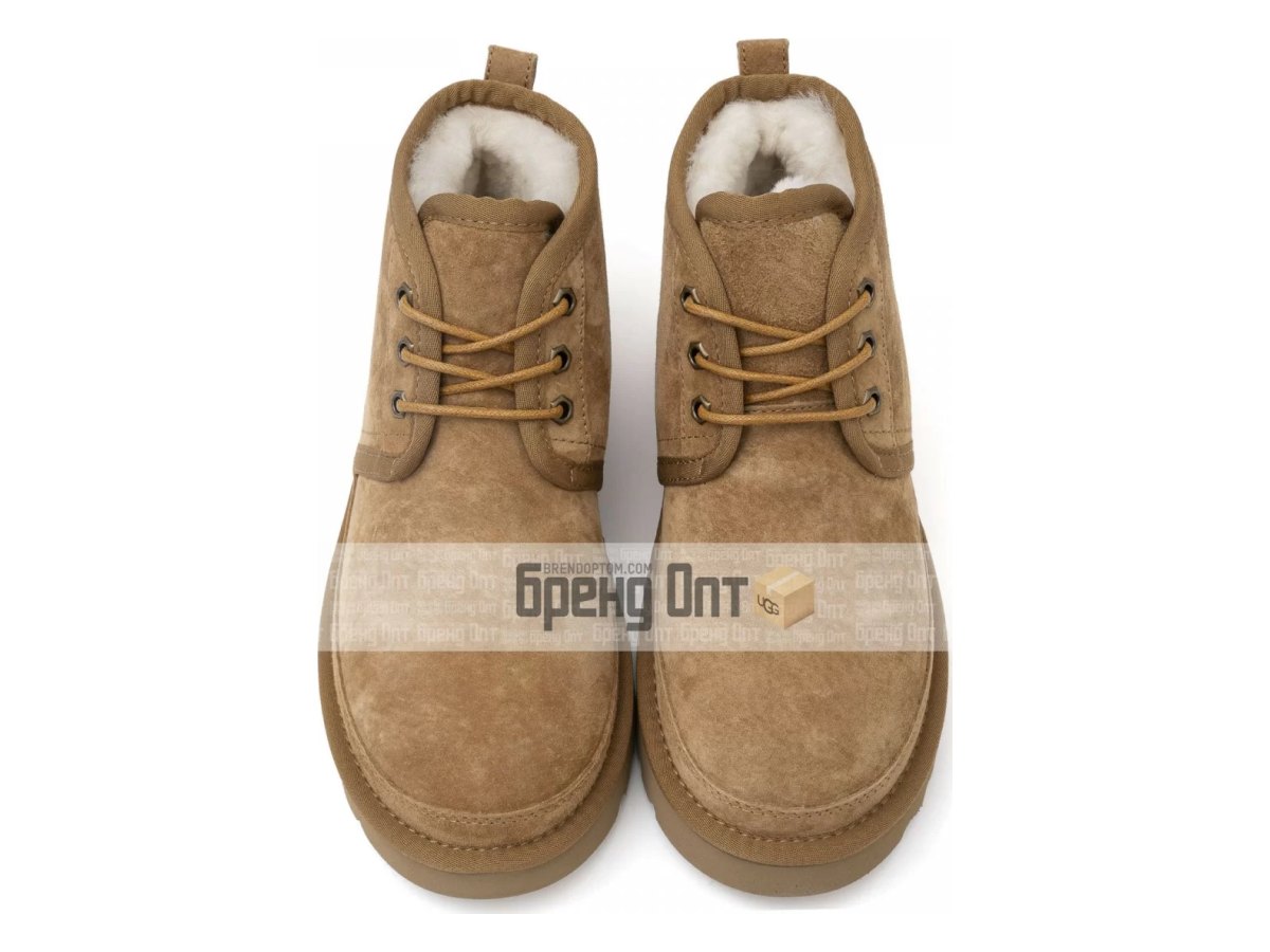 UGG Neumel Chestnut — вид «сверху»